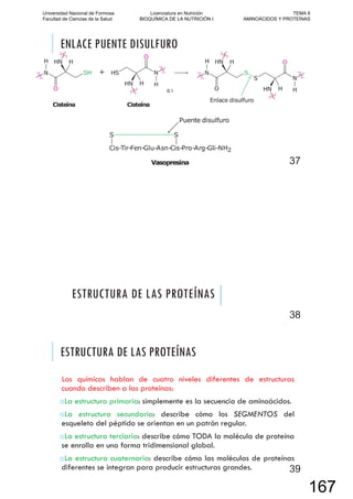 ENLACE PUENTE DISULFURO
0.1
37
ESTRUCTURA DE LAS PROTEÍNAS
38
ESTRUCTURA DE LAS PROTEÍNAS
Los químicos hablan de cuatro niveles diferentes de estructuras
cuando describen a las proteínas:
oLa estructura primaria: simplemente es la secuencia de aminoácidos.
oLa estructura secundaria: describe cómo los SEGMENTOS del
esqueleto del péptido se orientan en un patrón regular.
oLa estructura terciaria: describe cómo TODA la molécula de proteína
se enrolla en una forma tridimensional global.
oLa estructura cuaternaria: describe cómo las moléculas de proteínas
diferentes se integran para producir estructuras grandes. 39
Universidad Nacional de Formosa
Facultad de Ciencias de la Salud
Licenciatura en Nutrición
BIOQUÍMICA DE LA NUTRICIÓN I
TEMA 6
AMINOÁCIDOS Y PROTEÍNAS
167
 