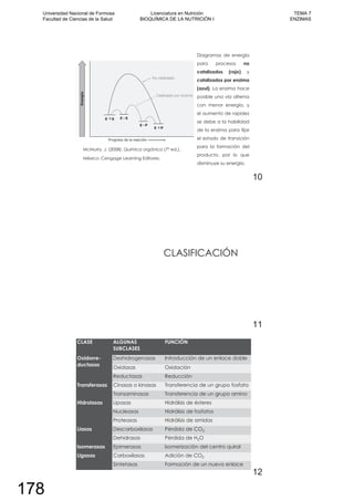 Diagramas de energía
para procesos no
catalizados (rojo) y
catalizados por enzima
(azul). La enzima hace
posible una vía alterna
con menor energía, y
el aumento de rapidez
se debe a la habilidad
de la enzima para fijar
el estado de transición
para la formación del
producto, por lo que
disminuye su energía.
McMurry, J. (2008). Química orgánica (7º ed.).
México: Cengage Learning Editores.
10
CLASIFICACIÓN
11
CLASE ALGUNAS
SUBCLASES
FUNCIÓN
Oxidorre-
ductasas
Deshidrogenasas Introducción de un enlace doble
Oxidasas Oxidación
Reductasas Reducción
Transferasas Cinasas o kinasas Transferencia de un grupo fosfato
Transaminasas Transferencia de un grupo amino
Hidrolasas Lipasas Hidrólisis de ésteres
Nucleasas Hidrólisis de fosfatos
Proteasas Hidrólisis de amidas
Liasas Descarboxilasas Pérdida de CO2
Dehidrasas Pérdida de H2O
Isomerasas Epimerasas Isomerización del centro quiral
Ligasas Carboxilasas Adición de CO2
Sintetasas Formación de un nuevo enlace
12
Universidad Nacional de Formosa
Facultad de Ciencias de la Salud
Licenciatura en Nutrición
BIOQUÍMICA DE LA NUTRICIÓN I
TEMA 7
ENZIMAS
178
 
