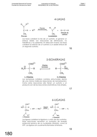 4-LIASAS
Las liasas catalizan la lisis de un sustrato, al generar un
enlace doble; son reacciones de eliminación, no
hidrolíticas y no oxidantes. En dirección inversa, las liasas
catalizan la adición de un sustrato a un doble enlace de
un segundo sustrato.
16
5-ISOMERASAS
Las Isomerasas catalizan cambios estructurales dentro
de una misma molécula (reacciones de isomerización).
Como estas reacciones sólo tienen un sustrato y un
producto son de las reacciones enzimáticas más simples.
17
6-LIGASAS
Las ligasas catalizan la ligadura o unión de dos sustratos.
Estas reacciones necesitan un suministro de energía
potencial química de un nucleósido trifosfato, como el
ATP. Las ligasas son usualmente llamadas sintetasas.
18
Universidad Nacional de Formosa
Facultad de Ciencias de la Salud
Licenciatura en Nutrición
BIOQUÍMICA DE LA NUTRICIÓN I
TEMA 7
ENZIMAS
180
 