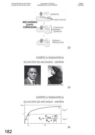 SITIO ACTIVO
MECANISMO
LLAVE-
CERRADURA COMPLEJO
ENZIMA-
SUSTRATO
SUSTRATO
ENZIMA +
PRODUCTOS
22
CINÉTICA ENZIMÁTICA
ECUACIÓN DE MICHAELIS - MENTEN
Leonor Michaelis (1875-1949) Maude Menten (1879-1960)
23
CINÉTICA ENZIMÁTICA
ECUACIÓN DE MICHAELIS - MENTEN
24
Universidad Nacional de Formosa
Facultad de Ciencias de la Salud
Licenciatura en Nutrición
BIOQUÍMICA DE LA NUTRICIÓN I
TEMA 7
ENZIMAS
182
 