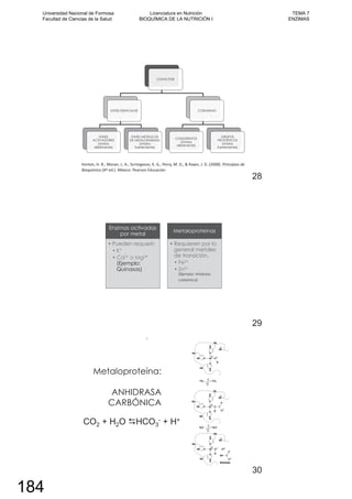 COFACTOR
IONES ESENCIALES
IONES
ACTIVADORES
(Unidos
débilmente)
IONES METÁLICOS
DE METALOENZIMAS
(Unidos
fuertemente)
COENZIMAS
COSUSTRATOS
(Unidos
débilmente)
GRUPOS
PROSTÉTICOS
(Unidos
fuertemente)
28
Enzimas activadas
por metal
• Pueden requerir:
• K+
• Ca2+ o Mg2+
(Ejemplo:
Quinasas)
Metaloproteínas
• Requieren por lo
general metales
de transición.
• Fe2+
• Zn2+
(Ejemplo: Ahidrasa
carbónica)
29
Metaloproteína:
ANHIDRASA
CARBÓNICA
30
Universidad Nacional de Formosa
Facultad de Ciencias de la Salud
Licenciatura en Nutrición
BIOQUÍMICA DE LA NUTRICIÓN I
TEMA 7
ENZIMAS
184
 