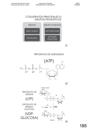 COSUSTRATOS PRINCIPALES O
GRUPOS PROSTÉTICOS
REDOX
NAD+/NADH
FAD/FADH2
GRUPO FOSFATO
ATP/ADP/AMP
UTP/UDP-
GLUCOSA
31
TRIFOSFATO DE ADENOSINA
(ATP)
32
TRIFOSFATO DE
URIDINA
(UTP)
DIFOSFATO DE
URIDINA-
GLUCOSA
(UDP-
GLUCOSA)
33
Universidad Nacional de Formosa
Facultad de Ciencias de la Salud
Licenciatura en Nutrición
BIOQUÍMICA DE LA NUTRICIÓN I
TEMA 7
ENZIMAS
185
 