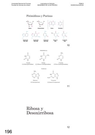 Pirimidinas y Purinas
10
Adenina Guanina
(6-Aminopurina) (2-Amino-6-oxopurina)
11
Ribosa y
Desoxirribosa
12
Universidad Nacional de Formosa
Facultad de Ciencias de la Salud
Licenciatura en Nutrición
BIOQUÍMICA DE LA NUTRICIÓN I
TEMA 8
ÁCIDOS NUCLEICOS
196
 