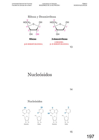 Ribosa y Desoxirribosa
-D RIBOFURANOSA
2 DESOXI -
-D RIBOFURANOSA
13
Nucleósidos
14
Nucleósidos
15
Universidad Nacional de Formosa
Facultad de Ciencias de la Salud
Licenciatura en Nutrición
BIOQUÍMICA DE LA NUTRICIÓN I
TEMA 8
ÁCIDOS NUCLEICOS
197
 