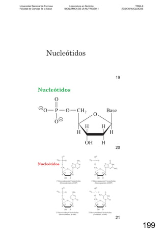 Nucleótidos
19
Nucleótidos
20
Nucleótidos
21
Universidad Nacional de Formosa
Facultad de Ciencias de la Salud
Licenciatura en Nutrición
BIOQUÍMICA DE LA NUTRICIÓN I
TEMA 8
ÁCIDOS NUCLEICOS
199
 