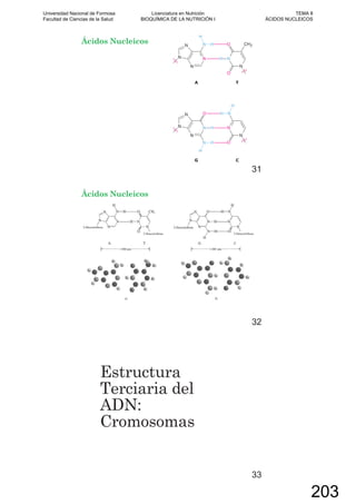 Ácidos Nucleicos
31
Ácidos Nucleicos
32
Estructura
Terciaria del
ADN:
Cromosomas
33
Universidad Nacional de Formosa
Facultad de Ciencias de la Salud
Licenciatura en Nutrición
BIOQUÍMICA DE LA NUTRICIÓN I
TEMA 8
ÁCIDOS NUCLEICOS
203
 