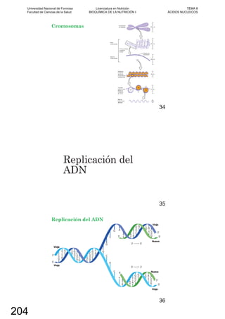 Cromosomas
34
Replicación del
ADN
35
Replicación del ADN
36
Universidad Nacional de Formosa
Facultad de Ciencias de la Salud
Licenciatura en Nutrición
BIOQUÍMICA DE LA NUTRICIÓN I
TEMA 8
ÁCIDOS NUCLEICOS
204
 