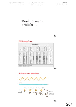 Biosíntesis de
proteínas
43
Código genético
44
Biosíntesis de proteínas
45
Universidad Nacional de Formosa
Facultad de Ciencias de la Salud
Licenciatura en Nutrición
BIOQUÍMICA DE LA NUTRICIÓN I
TEMA 8
ÁCIDOS NUCLEICOS
207
 