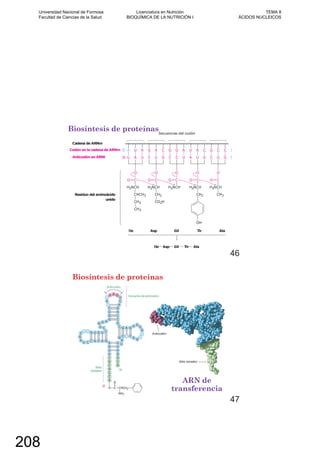 Biosíntesis de proteínas
46
Biosíntesis de proteínas
ARN de
transferencia
47
Universidad Nacional de Formosa
Facultad de Ciencias de la Salud
Licenciatura en Nutrición
BIOQUÍMICA DE LA NUTRICIÓN I
TEMA 8
ÁCIDOS NUCLEICOS
208
 