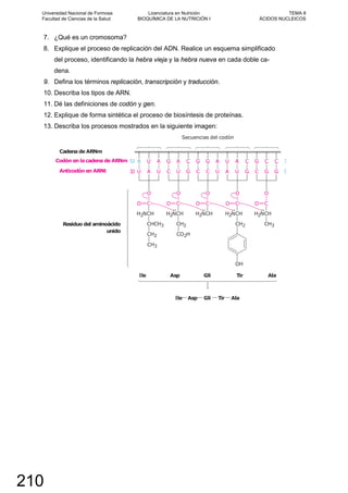 7. ¿Qué es un cromosoma?
8. Explique el proceso de replicación del ADN. Realice un esquema simplificado
del proceso, identificando la hebra vieja y la hebra nueva en cada doble ca-
dena.
9. Defina los términos replicación, transcripción y traducción.
10. Describa los tipos de ARN.
11. Dé las definiciones de codón y gen.
12. Explique de forma sintética el proceso de biosíntesis de proteínas.
13. Describa los procesos mostrados en la siguiente imagen:
Universidad Nacional de Formosa
Facultad de Ciencias de la Salud
Licenciatura en Nutrición
BIOQUÍMICA DE LA NUTRICIÓN I
TEMA 8
ÁCIDOS NUCLEICOS
210
 