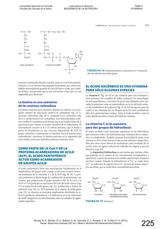 CAPÍTULO 44 Micronutrientes: vitaminas y minerales 479
O OH
N N
H
N N
CH2
CH2
CH2
CH2
C
NH
NH
CHOH
CH3H3C
CH2
NH2
O
O O
CH2 SH
OP
O
O
O
P
O
O OP
OC
O C
CH2OH
CH2
CH2
C
NH
OH
CHOH
CH3H3C
OC
O C
O
Coenzima (CoASH)Ácido pantoténico
FIGURA 44-18 Ácido pantoténico y coenzima A. El * muestra el
sitio de acilación por ácidos grasos.
CH2HO
O
O
OH
CH2OH
Monodehidroascorbato
(semidehidroascorbato)
CH2HO
O
O
OO
CH2OH
Dehidroascorbato
OH
CH2HO
O
O
OH
CH2OH
Ascorbato
.O
FIGURA 44-19 Vitamina C.
personas mantenidas durante muchos meses en nutrición parente-
ral total, y en un número muy pequeño de personas que comen can-
tidades anormalmente grandes de clara de huevo cruda, que contie-
ne avidina, una proteína que se une a la biotina y hace que no esté
disponible para absorción.
La biotina es una coenzima
de las enzimas carboxilasa
La biotina funciona para transferir dióxido de carbono en un pe-
queño número de reacciones: acetil-CoA carboxilasa (fig. 23-1),
piruvato carboxilasa (fig. 20-1), propionil-CoA carboxilasa (fig.
20-2) y metilcrotonil-CoA carboxilasa. Una holocarboxilasa sinte-
tasa cataliza la transferencia de biotina hacia un residuo lisina de la
apoenzima para formar el residuo biocitina de la holoenzima. El
intermediario reactivo es la 1-N-carboxi-biocitina, que se forma a
partir de bicarbonato en una reacción dependiente de ATP. El
grupo carboxilo a continuación se transfiere hacia el sustrato para
carboxilación. Asimismo, la biotina participa en la regulación del
ciclo celular; actúa para biotinilar proteínas nucleares clave.
COMO PARTE DE LA CoA Y DE LA
PROTEÍNA ACARREADORA DE ACILO
(ACP), EL ÁCIDO PANTOTÉNICO
ACTÚA COMO ACARREADOR
DE GRUPOS ACILO
El ácido pantoténico tiene una participación fundamental en el
metabolismo del grupo acilo cuando actúa como la parte funcio-
nal panteteína de la coenzima A o de la ACP (fig. 44-18). La por-
ción panteteína se forma luego de combinación de pantotenato con
cisteína, que proporciona el grupo prostético-SH de la CoA y la
ACP. La CoA participa en reacciones del ciclo del ácido cítrico (cap.
17), la oxidación de ácido graso (cap. 22), acetilaciones y síntesis de
colesterol (cap. 26). La ACP participa en la síntesis de ácido graso
(cap. 23). La vitamina se encuentra ampliamente distribuida en to-
dos los productos alimenticios, y la deficiencia no se ha informado
de modo inequívoco en seres humanos salvo en estudios de agota-
miento específico.
EL ÁCIDO ASCÓRBICO ES UNA VITAMINA
PARA SÓLO ALGUNAS ESPECIES
La vitamina C (fig. 44-19) es una vitamina para seres humanos y
otros primates, los conejillos de Indias (cobayos), los murciélagos,
las aves paseriformes y casi todos los peces invertebrados; otros ani-
males la sintetizan como un intermediario en la vía del ácido uróni-
co del metabolismo de la glucosa (fig. 21-4). En las especies para las
cuales es una vitamina, hay un bloqueo de la vía como resultado de
falta de la gulonolactona oxidasa. Tanto el ácido ascórbico como el
ácido dehidroascórbico tienen actividad de vitamina.
La vitamina C es la coenzima
para dos grupos de hidroxilasas
El ácido ascórbico tiene funciones específicas en las hidroxilasas
que contienen cobre y las hidroxilasas que contienen hierro enlaza-
das a α-cetoglutarato. También aumenta la actividad de varias otras
enzimas in vitro, si bien ésta no es una acción reductora inespecífica.
Más aún, tiene varios efectos no enzimáticos como resultado de su
acción como un agente reductor de radicales de oxígeno y que los
desactiva (cap. 45).
La dopamina β-hidroxilasa es una enzima que contiene cobre,
que participa en la síntesis de las catecolaminas (norepinefrina y
epinefrina), a partir de tirosina en la médula suprarrenal y el sistema
nervioso central. Durante la hidroxilación el Cu+
se oxida hacia
Cu2+
; la reducción de regreso hacia Cu+
necesita de manera especí-
fica ascorbato, que se oxida hacia monodehidroascorbato.
(semidehidroascorbato)
FIGURA 44-19RA 44-19 Vitamina C.Vitamina C.
de modo inequívoco en seres humanos salvo en estudios de agota-umanos s
miento específico.miento específico.
Universidad Nacional de Formosa
Facultad de Ciencias de la Salud
Licenciatura en Nutrición
BIOQUÍMICA DE LA NUTRICIÓN I
TEMA 9
VITAMINAS
Murray, R. K., Bender, D. A., Botham, K. M., Kennelly, P. J., Rodwell, V. W., & Weil, P. A. (2010).
Harper. Bioquímica Ilustrada (28º ed.). México: McGraw-Hill Interamericana Editores.
225
 