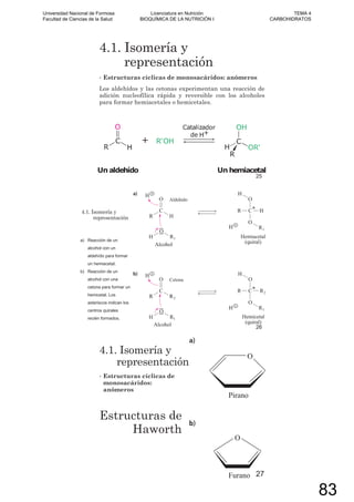 4.1. Isomería y
representación
• Estructuras cíclicas de monosacáridos: anómeros
Los aldehídos y las cetonas experimentan una reacción de
adición nucleofílica rápida y reversible con los alcoholes
para formar hemiacetales o hemicetales.
25
4.1. Isomería y
representación
a) Reacción de un
alcohol con un
aldehído para formar
un hemiacetal.
b) Reacción de un
alcohol con una
cetona para formar un
hemicetal. Los
asteriscos indican los
centros quirales
recién formados.
26
4.1. Isomería y
representación
• Estructuras cíclicas de
monosacáridos:
anómeros
Estructuras de
Haworth
27
Universidad Nacional de Formosa
Facultad de Ciencias de la Salud
Licenciatura en Nutrición
BIOQUÍMICA DE LA NUTRICIÓN I
TEMA 4
CARBOHIDRATOS
83
 