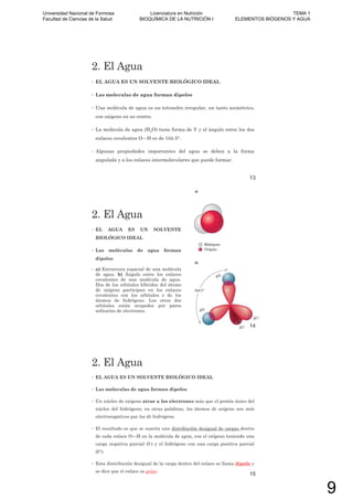 2. El Agua
• EL AGUA ES UN SOLVENTE BIOLÓGICO IDEAL
• Las moleculas de agua forman dipolos
• Una molécula de agua es un tetraedro irregular, un tanto asimétrico,
con oxígeno en su centro.
• La molécula de agua (H2O) tiene forma de V y el ángulo entre los dos
enlaces covalentes O—H es de 104.5°.
• Algunas propiedades importantes del agua se deben a la forma
angulada y a los enlaces intermoleculares que puede formar.
13
2. El Agua
• EL AGUA ES UN SOLVENTE
BIOLÓGICO IDEAL
• Las moléculas de agua forman
dipolos
• a) Estructura espacial de una molécula
de agua. b) Ángulo entre los enlaces
covalentes de una molécula de agua.
Dos de los orbitales híbridos del átomo
de oxígeno participan en los enlaces
covalentes con los orbitales s de los
átomos de hidrógeno. Los otros dos
orbitales están ocupados por pares
solitarios de electrones.
14
2. El Agua
• EL AGUA ES UN SOLVENTE BIOLÓGICO IDEAL
• Las moleculas de agua forman dipolos
• Un núcleo de oxígeno atrae a los electrones más que el protón único del
núcleo del hidrógeno; en otras palabras, los átomos de oxígeno son más
electronegativos que los de hidrógeno.
• El resultado es que se suscita una distribución desigual de cargas dentro
de cada enlace O—H en la molécula de agua, con el oxígeno teniendo una
carga negativa parcial ( -) y el hidrógeno con una carga positiva parcial
( +).
• Esta distribución desigual de la carga dentro del enlace se llama dipolo y
se dice que el enlace es polar.
15
Universidad Nacional de Formosa
Facultad de Ciencias de la Salud
Licenciatura en Nutrición
BIOQUÍMICA DE LA NUTRICIÓN I
TEMA 1
ELEMENTOS BIÓGENOS Y AGUA
9
 