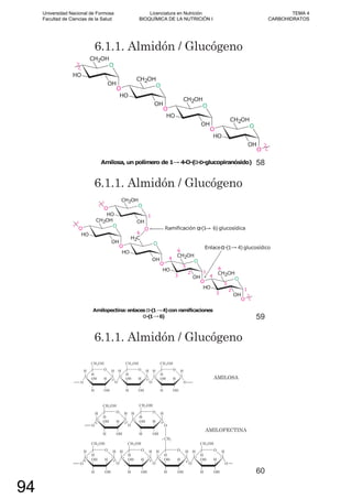 6.1.1. Almidón / Glucógeno
58
6.1.1. Almidón / Glucógeno
59
6.1.1. Almidón / Glucógeno
AMILOSA
AMILOPECTINA
60
Universidad Nacional de Formosa
Facultad de Ciencias de la Salud
Licenciatura en Nutrición
BIOQUÍMICA DE LA NUTRICIÓN I
TEMA 4
CARBOHIDRATOS
94
 