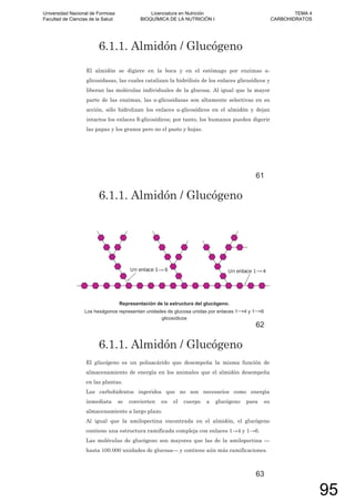 6.1.1. Almidón / Glucógeno
El almidón se digiere en la boca y en el estómago por enzimas -
glicosidasas, las cuales catalizan la hidrólisis de los enlaces glicosídicos y
liberan las moléculas individuales de la glucosa. Al igual que la mayor
parte de las enzimas, las -glicosidasas son altamente selectivas en su
acción, sólo hidrolizan los enlaces -glicosídicos en el almidón y dejan
intactos los enlaces -glicosídicos; por tanto, los humanos pueden digerir
las papas y los granos pero no el pasto y hojas.
61
6.1.1. Almidón / Glucógeno
Representación de la estructura del glucógeno.
Los hexágonos representan unidades de glucosa unidas por enlaces 1 4 y 1 6
glicosídicos
62
6.1.1. Almidón / Glucógeno
El glucógeno es un polisacárido que desempeña la misma función de
almacenamiento de energía en los animales que el almidón desempeña
en las plantas.
Los carbohidratos ingeridos que no son necesarios como energía
inmediata se convierten en el cuerpo a glucógeno para su
almacenamiento a largo plazo.
Al igual que la amilopectina encontrada en el almidón, el glucógeno
contiene una estructura ramificada compleja con enlaces 1 4 y 1 6.
Las moléculas de glucógeno son mayores que las de la amilopectina —
hasta 100.000 unidades de glucosa— y contiene aún más ramificaciones.
63
Universidad Nacional de Formosa
Facultad de Ciencias de la Salud
Licenciatura en Nutrición
BIOQUÍMICA DE LA NUTRICIÓN I
TEMA 4
CARBOHIDRATOS
95
 