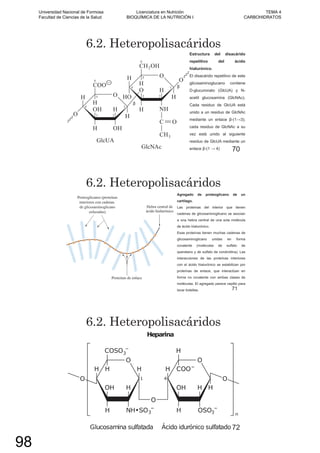 6.2. Heteropolisacáridos
Estructura del disacárido
repetitivo del ácido
hialurónico.
El disacárido repetitivo de este
glicosaminoglucano contiene
D-glucuronato (GlcUA) y N-
acetil glucosamina (GlcNAc).
Cada residuo de GlcUA está
unido a un residuo de GlcNAc
mediante un enlace -(1 3);
cada residuo de GlcNAc a su
vez está unido al siguiente
residuo de GlcUA mediante un
enlace -(1 4) 70
6.2. Heteropolisacáridos
Agregado de proteoglicano de un
cartílago.
Las proteínas del interior que tienen
cadenas de glicosaminoglicano se asocian
a una hebra central de una sola molécula
de ácido hialurónico.
Esas proteínas tienen muchas cadenas de
glicosaminoglicano unidas en forma
covalente (moléculas de sulfato de
queratano y de sulfato de condroitina). Las
interacciones de las proteínas interiores
con el ácido hialurónico se estabilizan por
proteínas de enlace, que interactúan en
forma no covalente con ambas clases de
moléculas. El agregado parece cepillo para
lavar botellas. 71
6.2. Heteropolisacáridos
72
Universidad Nacional de Formosa
Facultad de Ciencias de la Salud
Licenciatura en Nutrición
BIOQUÍMICA DE LA NUTRICIÓN I
TEMA 4
CARBOHIDRATOS
98
 