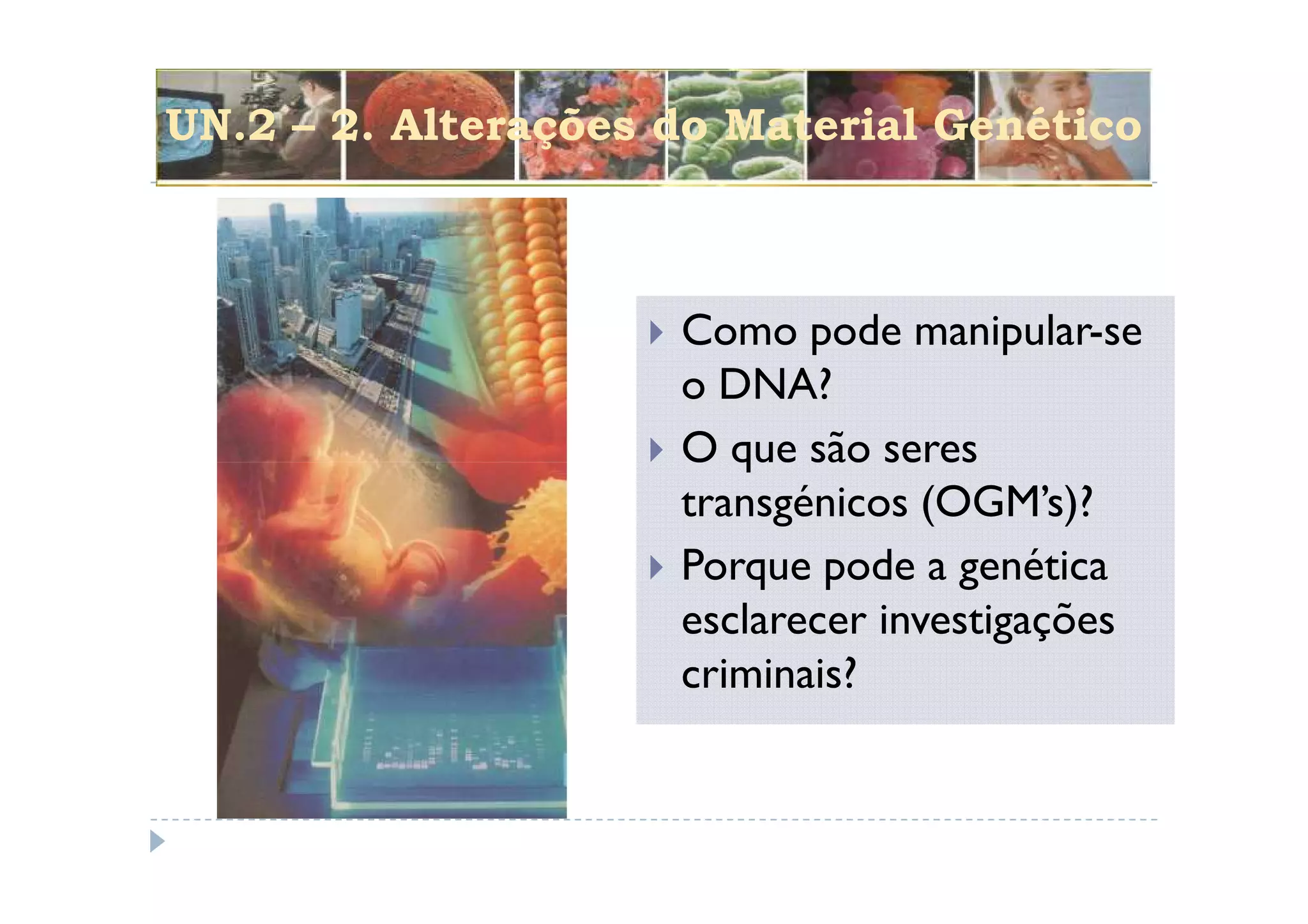UN.2 – 2. Alterações do Material Genético



                     Como pode manipular-se
                     o DNA?
                     O que são seres
                     transgénicos (OGM’s)?
                     Porque pode a genética
                     esclarecer investigações
                     criminais?
 