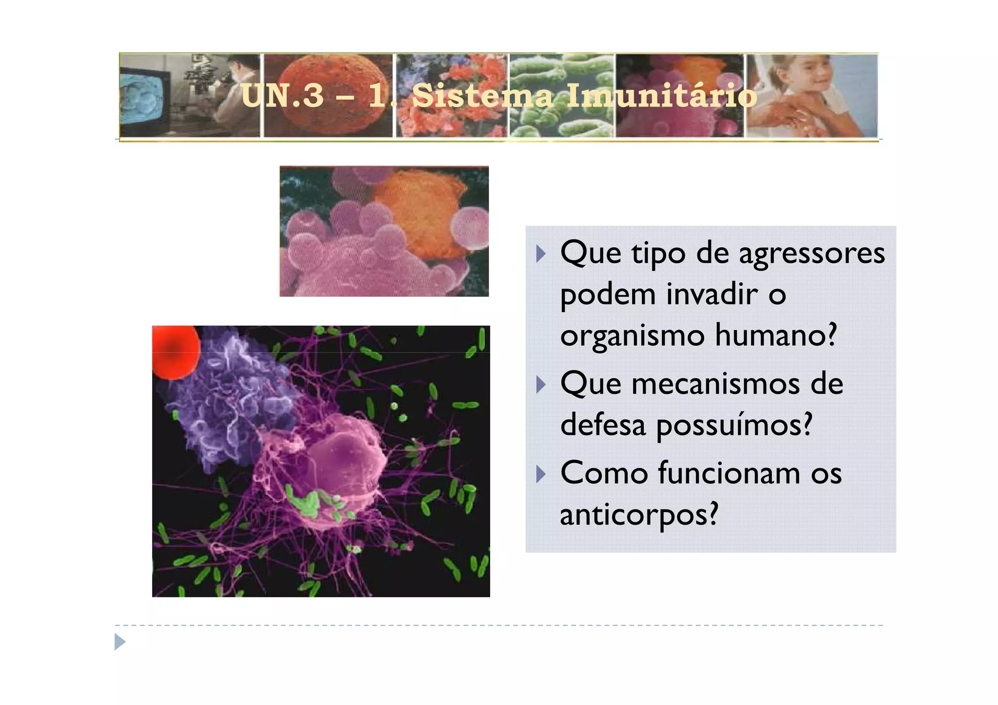 UN.3 – 1. Sistema Imunitário



                 Que tipo de agressores
                 podem invadir o
                 organismo humano?
                 Que mecanismos de
                 defesa possuímos?
                 Como funcionam os
                 anticorpos?
 
