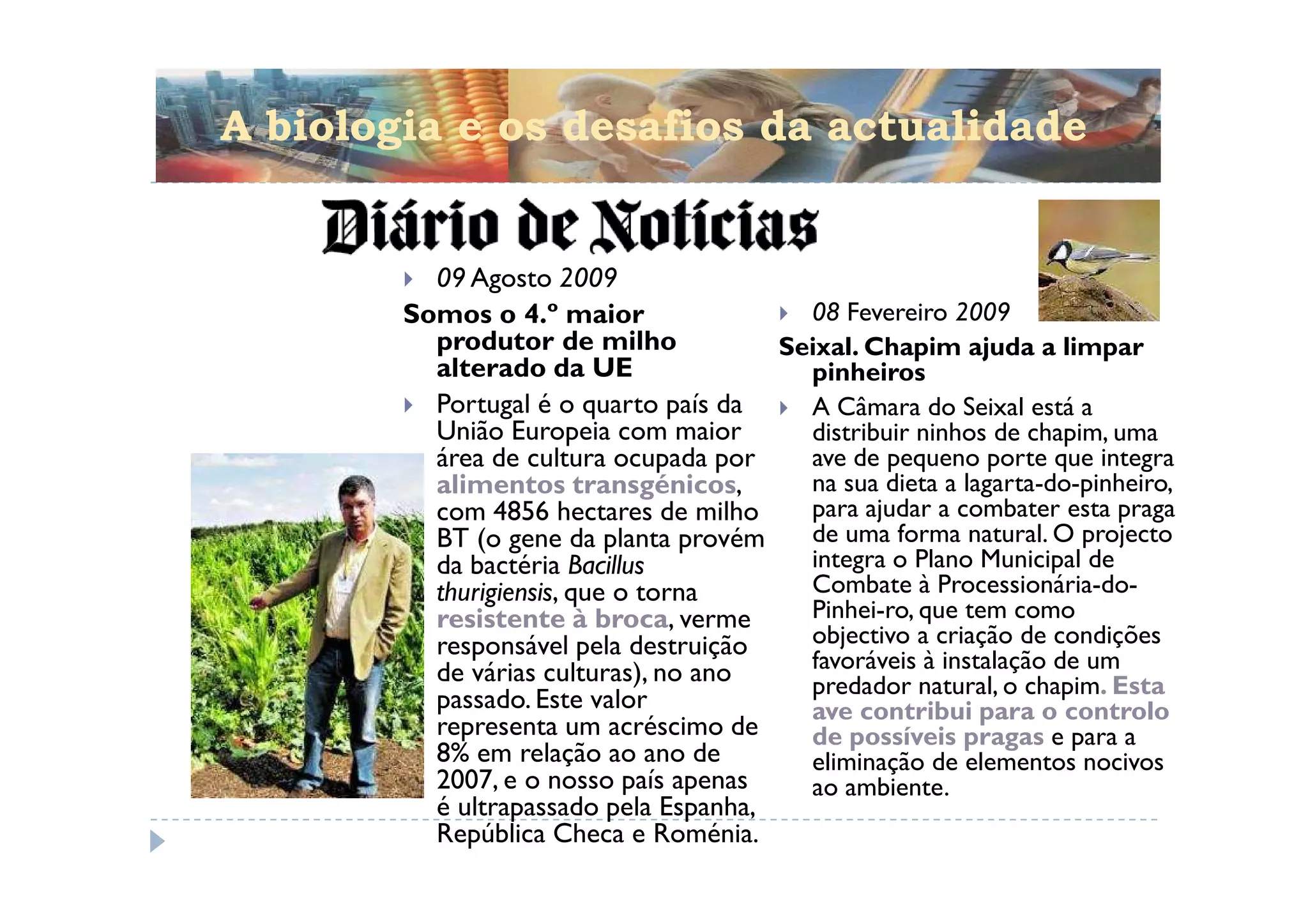 A biologia e os desafios da actualidade


          09 Agosto 2009
        Somos o 4.º maior                08 Fevereiro 2009
          produtor de milho            Seixal. Chapim ajuda a limpar
          alterado da UE                 pinheiros
          Portugal é o quarto país da    A Câmara do Seixal está a
          União Europeia com maior       distribuir ninhos de chapim, uma
          área de cultura ocupada por    ave de pequeno porte que integra
          alimentos transgénicos,        na sua dieta a lagarta-do-pinheiro,
          com 4856 hectares de milho     para ajudar a combater esta praga
          BT (o gene da planta provém    de uma forma natural. O projecto
          da bactéria Bacillus           integra o Plano Municipal de
          thurigiensis, que o torna      Combate à Processionária-do-
          resistente à broca, verme      Pinhei-ro, que tem como
          responsável pela destruição    objectivo a criação de condições
          de várias culturas), no ano    favoráveis à instalação de um
                                         predador natural, o chapim. Esta
          passado. Este valor            ave contribui para o controlo
          representa um acréscimo de     de possíveis pragas e para a
          8% em relação ao ano de        eliminação de elementos nocivos
          2007, e o nosso país apenas    ao ambiente.
          é ultrapassado pela Espanha,
          República Checa e Roménia.
 
