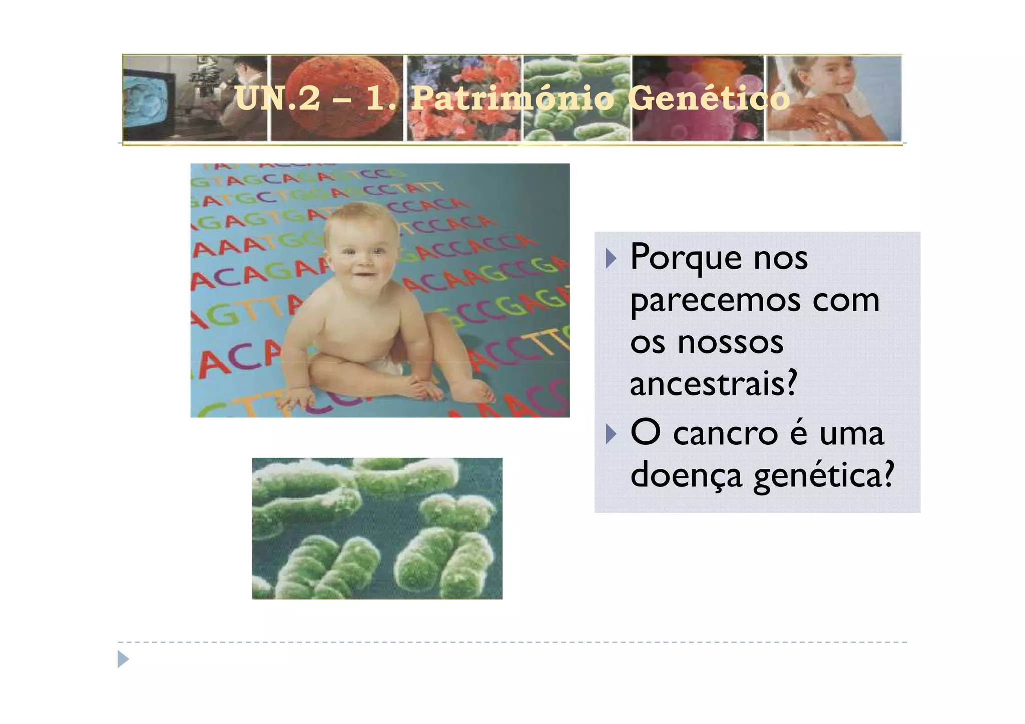 UN.2 – 1. Património Genético



                    Porque nos
                    parecemos com
                    os nossos
                    ancestrais?
                    O cancro é uma
                    doença genética?
 