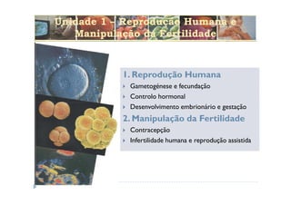 Unidade 1 – Reprodução Humana e
   Manipulação da Fertilidade



           1. Reprodução Humana
            Gametogénese e fecundação
            Controlo hormonal
            Desenvolvimento embrionário e gestação
           2. Manipulação da Fertilidade
            Contracepção
            Infertilidade humana e reprodução assistida
 