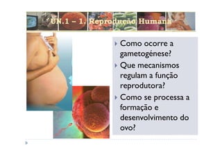 UN.1 – 1. Reprodução Humana

               Como ocorre a
               gametogénese?
               Que mecanismos
               regulam a função
               reprodutora?
               Como se processa a
               formação e
               desenvolvimento do
               ovo?
 