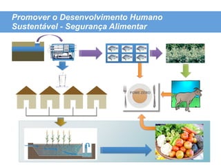 Promover o Desenvolvimento Humano
Sustentável - Segurança Alimentar




                         FOME ZERO
 