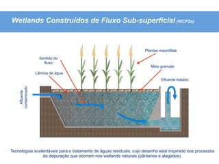Wetlands Construídos de Fluxo Sub-superficial (WCFSs)


                                                                    Plantas macrófitas

                   Sentido do
                     fluxo
                                                                       Meio granular
                  Lâmina de água
                                                                             Efluente tratado
    contaminado
      Afluente




Tecnologias sustentáveis para o tratamento de águas residuais, cujo desenho está inspirado nos processos
                de depuração que ocorrem nos wetlands naturais (pântanos e alagados).
 
