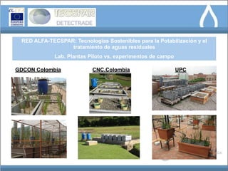 RED ALFA-TECSPAR: Tecnologías Sostenibles para la Potabilización y el
                 tratamiento de aguas residuales
             Lab. Plantas Piloto vs. experimentos de campo

GDCON Colombia             CNC,Colombia                      UPC
 