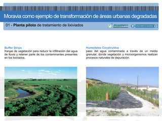 01 - Planta piloto de tratamiento de lixiviados




Buffer Strips                                                 Humedales Construidos
franjas de vegetación para reducir la infiltración del agua   paso del agua contaminada a través de un medio
de lluvia y retener parte de los contaminantes presentes      granular, donde vegetación y microorganismos realizan
en los lixiviados.                                            procesos naturales de depuración.
 