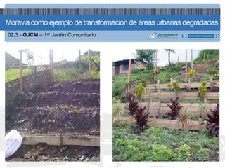 02.3 - GJCM – 1er Jardín Comunitario
 