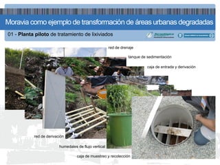 01 - Planta piloto de tratamiento de lixiviados

                                                       red de drenaje

                                                                  tanque de sedimentación

                                                                            caja de entrada y derivación




           red de derivación

                         humedales de flujo vertical

                                   caja de muestreo y recolección
 