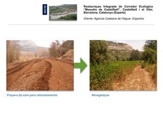 Restauraçao Integrada de Corredor Ecologico




                          2007/09
                                       “Meandre de Castellbell”. Castellbell i el Vilar,
                                       Barcelona, Catalunya (España)

                                       Cliente: Agencia Catalana de l’Aigua– Espanha




-Preparo do solo para reforestamento        -Revegetaçao
 