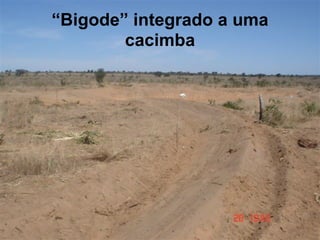 “Bigode” integrado a uma
        cacimba
 