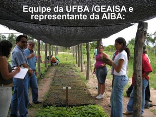 Equipe da UFBA /GEAISA e
 representante da AIBA:
 