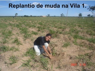 Replantio de muda na Vila 1.
 