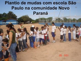 Plantio de mudas com escola São
   Paulo na comunidade Novo
             Paraná
 