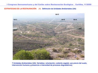 I Congreso Iberoamericano y del Caribe sobre Restauración Ecológica . Curitiba, 11/2009

ESTRATEGIAS DE LA RESTAURACIÓN:        (1) Definición de Unidades Ambientales (UA)


                                                            UA 5


        UA 3                                                       UA 6           UA 4




                                                                                         UA7
        UA 2




                                                    UA 1




       7 Unidades Ambientales (UA). Variables: orientación, cubierta vegetal, uso previo del suelo,
       intervención humana y presencia e intensidad de procesos degradativos)
 