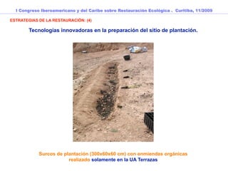 I Congreso Iberoamericano y del Caribe sobre Restauración Ecológica . Curitiba, 11/2009

ESTRATEGIAS DE LA RESTAURACIÓN: (4)

        Tecnologías innovadoras en la preparación del sitio de plantación.




            Surcos de plantación (300x60x60 cm) con enmiendas orgánicas
                        realizado solamente en la UA Terrazas
 