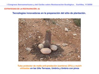 I Congreso Iberoamericano y del Caribe sobre Restauración Ecológica . Curitiba, 11/2009

ESTRATEGIAS DE LA RESTAURACIÓN: (4)

        Tecnologías innovadoras en la preparación del sitio de plantación.




             Tubo protector de malla anti-predación (sombreo 25%) y mulch
               utilizadas en las UAs Terrazas, Umbría y Umbría con pinos
 