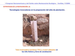 I Congreso Iberoamericano y del Caribe sobre Restauración Ecológica . Curitiba, 11/2009

ESTRATEGIAS DE LA RESTAURACIÓN: (4)

        Tecnologías innovadoras en la preparación del sitio de plantación.




                Tubo invernadero (sombreo 75%) y mulch utilizados en
                        las UAs Solana y Zona de canalización
 