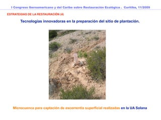 I Congreso Iberoamericano y del Caribe sobre Restauración Ecológica . Curitiba, 11/2009

ESTRATEGIAS DE LA RESTAURACIÓN (4)

       Tecnologías innovadoras en la preparación del sitio de plantación.




   Microcuenca para captación de escorrentía superficial realizadas en la UA Solana
 