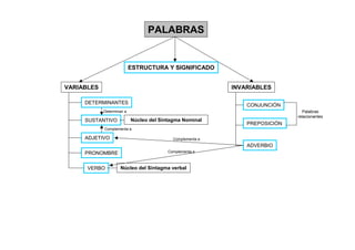PALABRAS


                           ESTRUCTURA Y SIGNIFICADO


VARIABLES                                                  INVARIABLES

     DETERMINANTES                                             CONJUNCIÓN
            Determinan a                                                        Palabras
                                                                             relacionantes
     SUSTANTIVO            Núcleo del Sintagma Nominal
                                                               PREPOSICIÓN
            Complementa a

     ADJETIVO                              Complementa a
                                                               ADVERBIO
     PRONOMBRE                           Complementa a



      VERBO         Núcleo del Sintagma verbal
 
