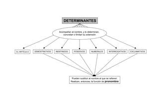 DETERMINANTES

                                 Acompañan al nombre, y lo determinan,
                                    concretan o limitan su extensión




EL ARTÍCULO   DEMOSTRATIVOS   INDEFINIDOS      POSESIVOS        NUMERALES        INTERROGATIVOS   EXCLAMATIVOS




                                             Pueden sustituir al nombre al que se refieren.
                                            Realizan, entonces, la función de pronombre
 