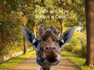 E pelo que vejo, Graças a Deus... 