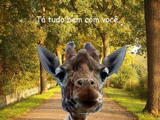 Tá tudo bem com você... 