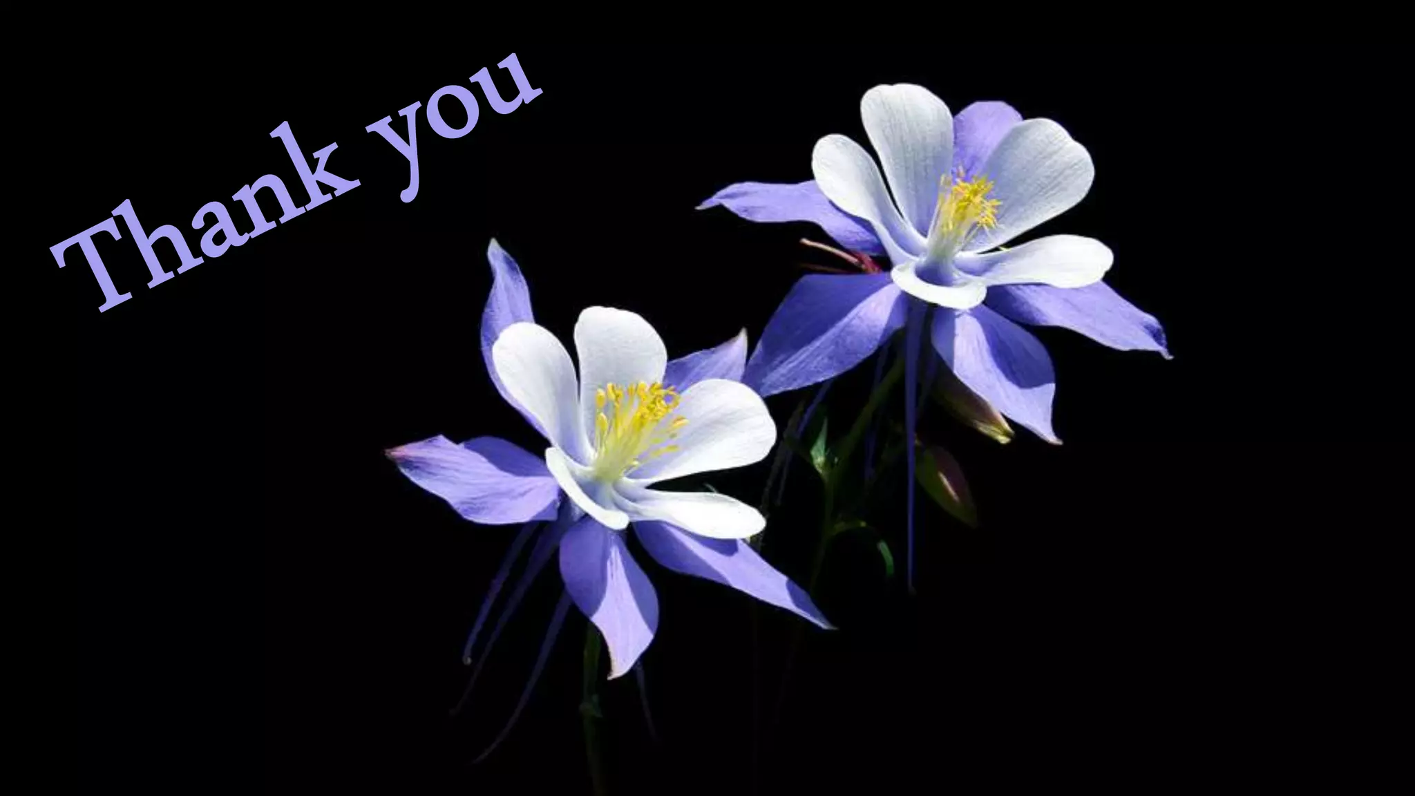 Other forms of removable partial denture 