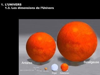 1. L’UNIVERS
   1.3. Les dimensions de l’Univers
 