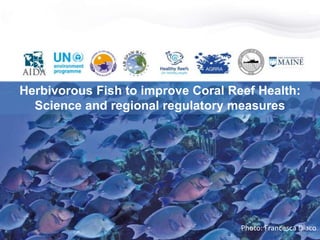Herbivorous Fish to improve Coral Reef Health:
Science and regional regulatory measures
Photo: Francesca Diaco
 
