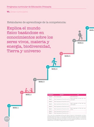 1
2
3
6
4
7
5
NIVEL 1
NIVEL 2
NIVEL 3
NIVEL 4
NIVEL 5
NIVEL 6
NIVEL
ESTÁNDARES EBR/EBE* EBA
Nivel 8 Nivel destacado Nivel destacado
Nivel 7 Nivel esperado al final del ciclo VII
Nivel esperado al final del ciclo
avanzado
Nivel 6 Nivel esperado al final del ciclo VI
Nivel 5 Nivel esperado al final del ciclo V
Nivel esperado al final del ciclo
intermedio
Nivel 4 Nivel esperado al final del ciclo IV
Nivel 3 Nivel esperado al final del ciclo III
Nivel esperado al final del ciclo
Inicial
Nivel 2 Nivel esperado al final del ciclo II
Nivel 1 Nivel esperado al final del ciclo I
*En el caso de la modalidad de Educación Básica Especial, los estudiantes con disca-
pacidad intelectual severa o no asociada a discapacidad tienen los mismos estándares
de aprendizaje que reciben los estudiantes la Educación Básica Regular. La institución
educativa y el Estado garantizan los medios, recursos y apoyos necesarios, así como las
adaptaciones curriculares y organizativas que se requieren.
Estándares de aprendizaje de la competencia:
Explica el mundo
físico basándose en
conocimientos sobre los
seres vivos, materia y
energía, biodiversidad,
Tierra y universo
VI. Áreas curriculares
284
Programa curricular de Educación Primaria
 